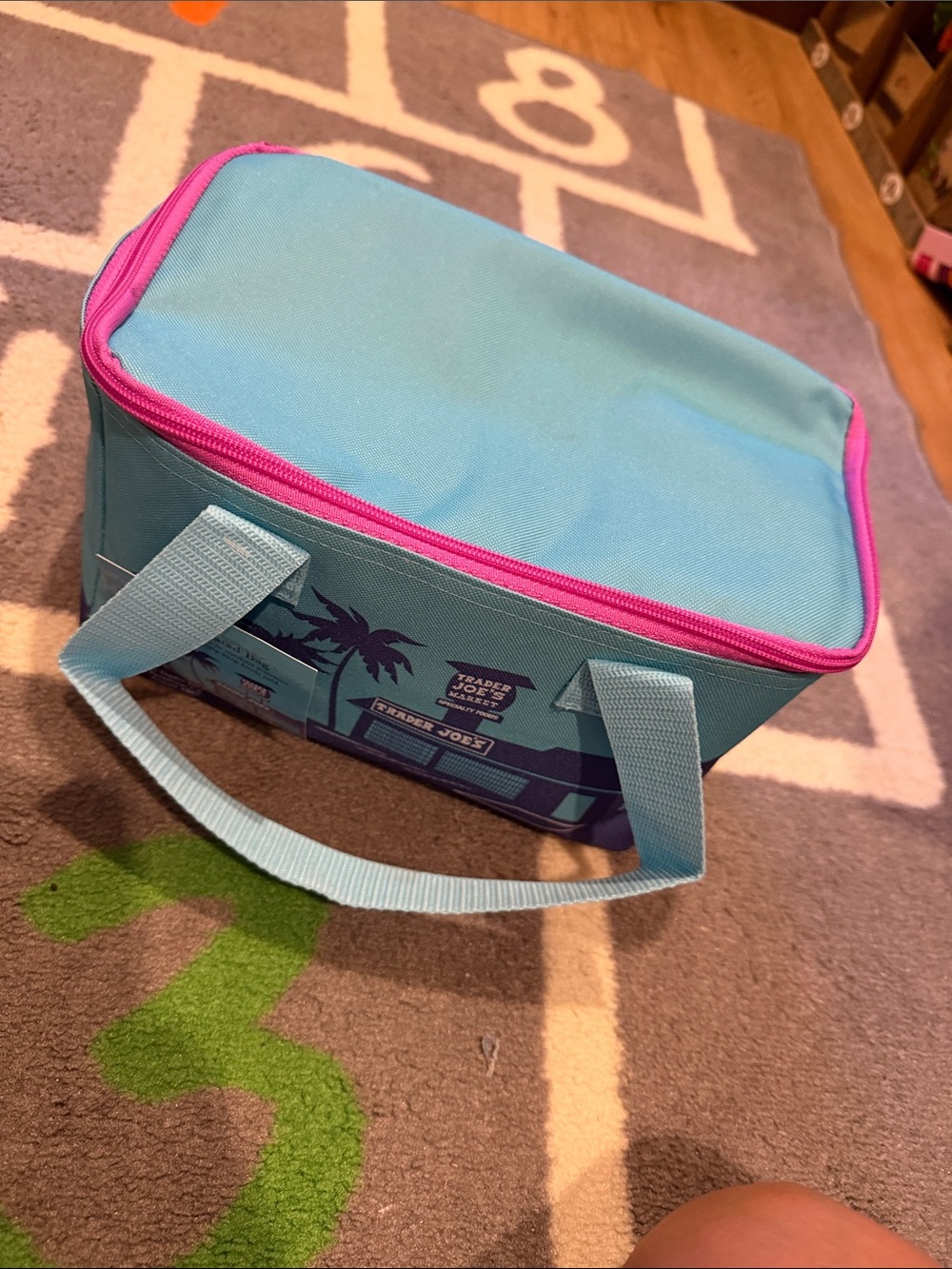 Trader Joe's Aqua and Purple Insulated Lunch Bag
